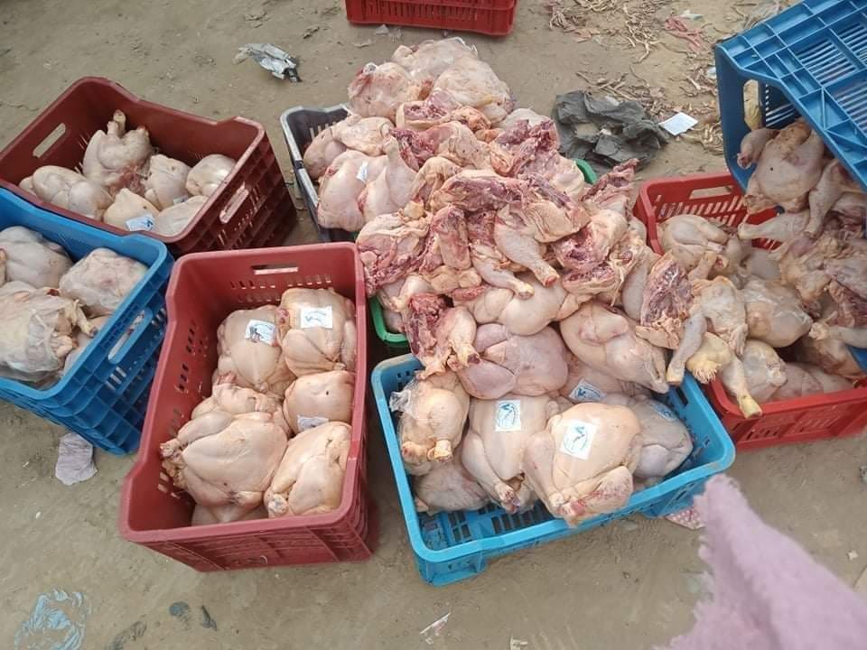 سكيكدة: حجز 200 كلغ من الدجاج الفاسد 