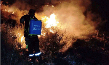 بأربع ولايات شرقية:  حرائــــق تتلــــف أزيــد من 18 هكتـارا من الغطــاء الغابــي