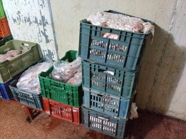 حجز قرابة 17 قنطار لحوم فاسدة موجهة للاستهلاك بالوادي
