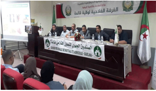 في يوم دراسي حول الأمن الغذائي بقالمة: دعوة الفلاحين للتأمين على مخاطر التغيرات المناخية 