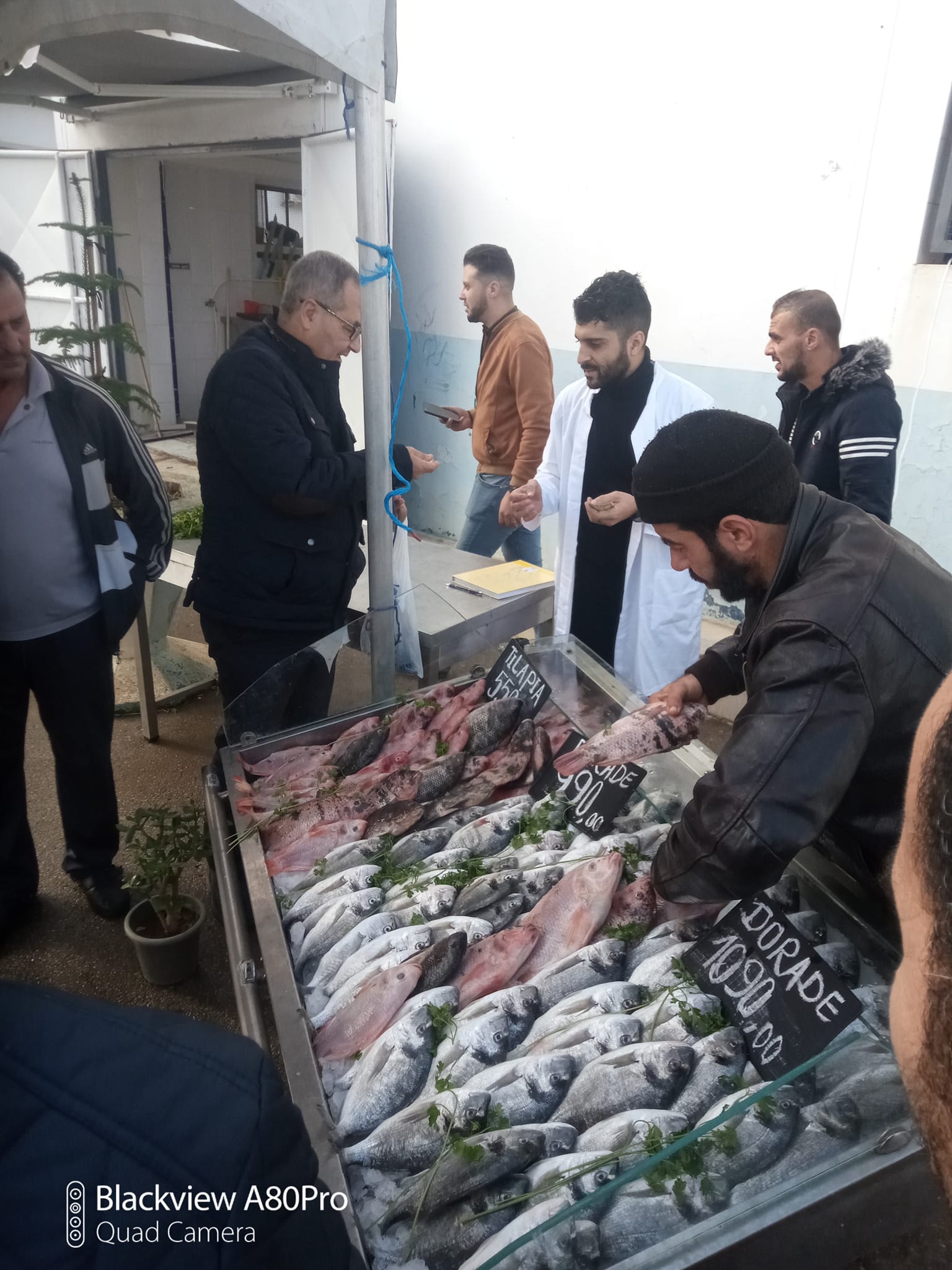 انطلاق عملية بيع منتجات تربية المائيات من المنتج للمستهلك بجيجل 