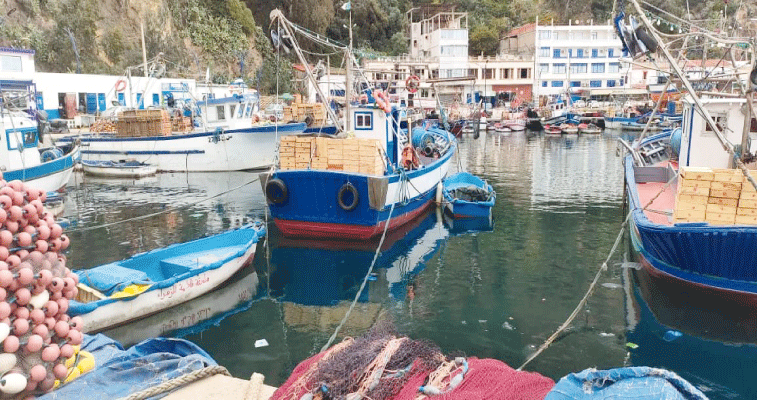 صيادون يبررونه بالتلوث ونقص النشاط في رمضان