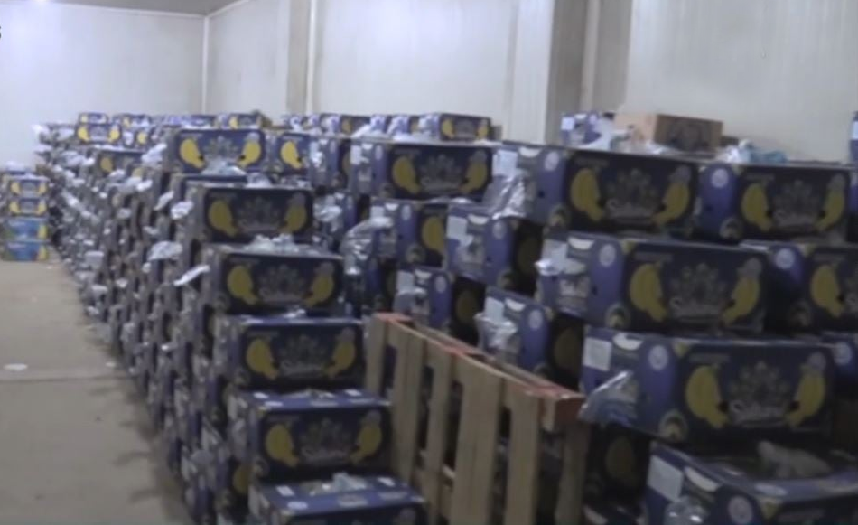الأمن الوطني يحجز 1243 طنا من الموز موجهة للمضاربة 