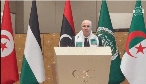 بن عبد الرحمان يؤكد:  التزام الجزائر بتمكين المرأة وحمايتها
