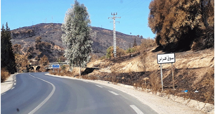 شهود عيان يتحدثون عن يوم الجحيم بغابات و أدغال وادي الشوك 