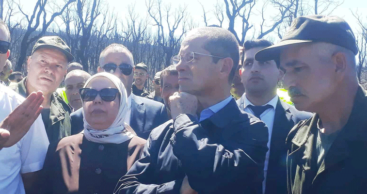 وزير الفلاحة يكشف  من قالمة: إجـــــراءات جــديـــدة لحمايــــــة الثـــروة الغابيــــــــة 