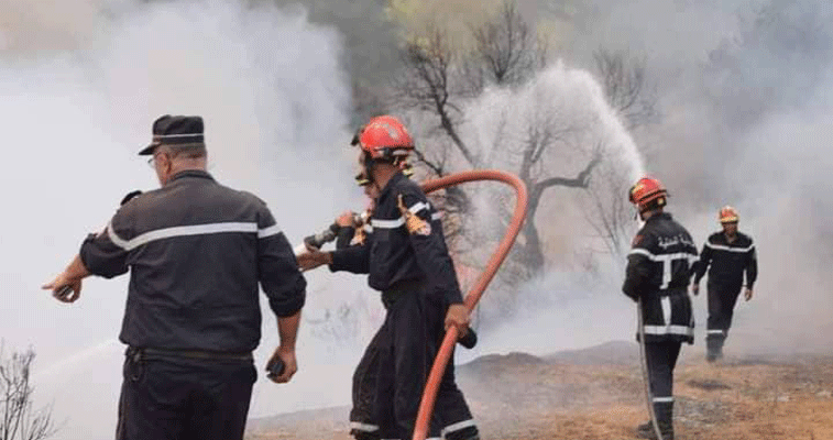 أودت بحياة 37 شخصا وخلّفت خسائر مادية فادحة:  إخمـاد جمـيـع حــرائـق الغـابـات التي مسّت عـدة ولايـات