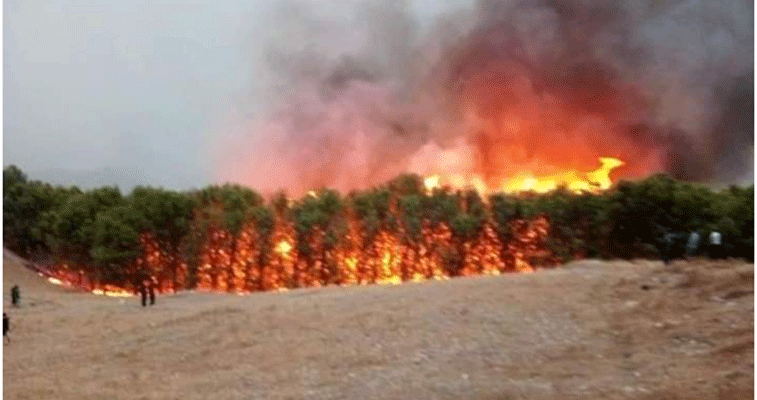 في انتظار إحصاء الخسائر بقالمة: وفاة شخصين من المصابين في الحرائق