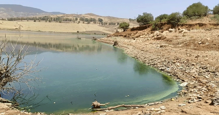 سكان يعانون من أزمة مياه بمسعود بوجريو وآبار تنضب: جفاف غير مسبوق لضفاف سد بني هارون بقسنطينة