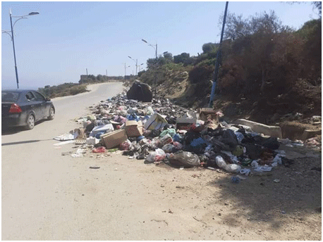 مصطافون لا يحترمون المواعيد : استفحـال لظاهرة الرمي العشوائي للقمامة بمدينة جيجل