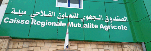 1100 ملف للاستفادة من قرض الرفيق: تعويض 80 بالمئة من الفلاحين المتضررين من الحرائـــــق بميـــــلة