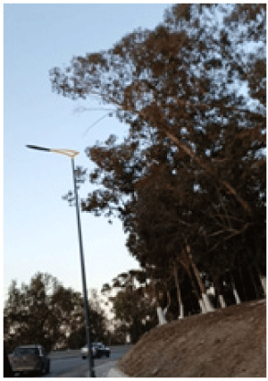 حامة بوزيان: تزويــــد الطريـــــــق الرابـــط ببــــكيرة بالإنــــــــارة العموميــــة