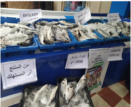 المديرية الجهوية لتربية المائيات: برنامج لتوفير المنتوج بأسعار تنافسية  في رمضان بخنشلة