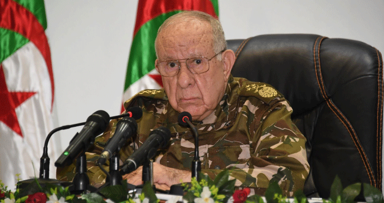 الفريق أول السعيد شنقريحة يؤكد: الجزائر رقم مهم في المعادلة الإفريقية رغم محاولات التشويش