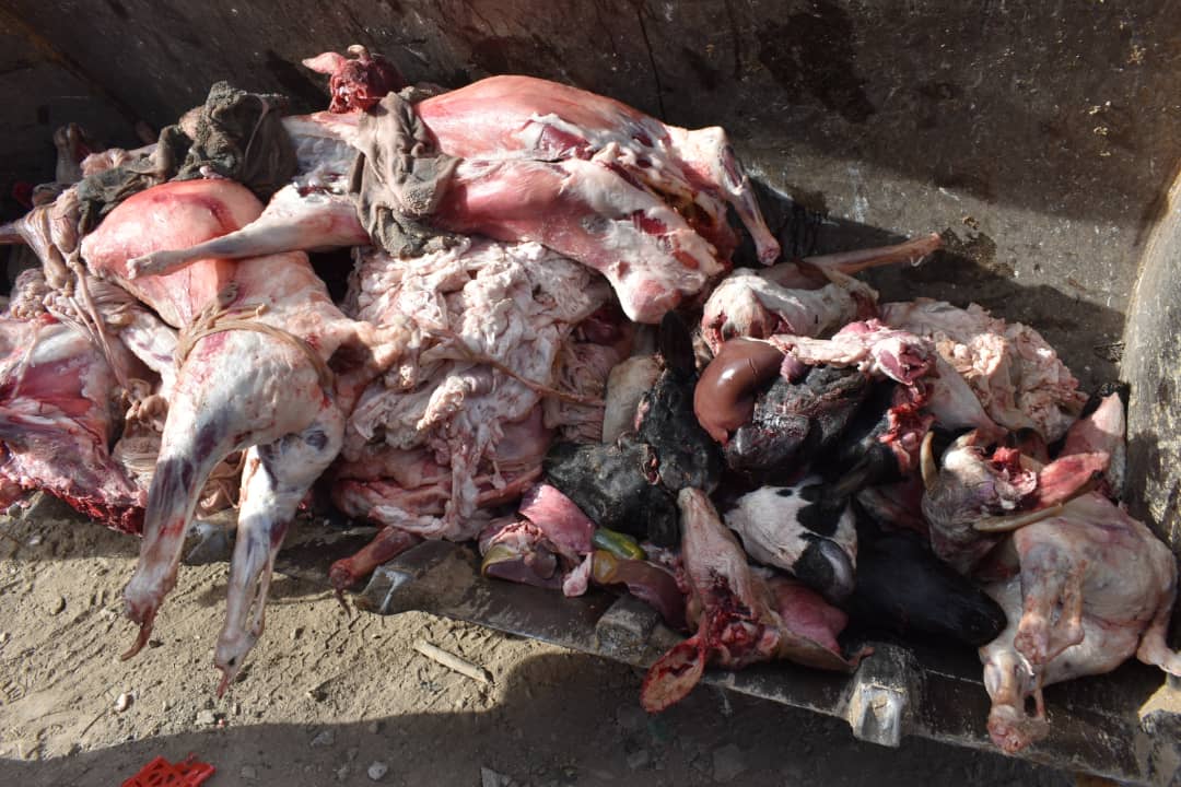 قسنطينة: حجز طنين و3 قناطير من لحوم النعاج الفاسدة بعين عبيد