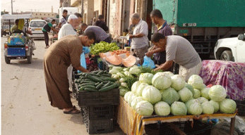 الوادي: تراجـــــع ملحــــوظ في أسعــــار الخضر بســوق الجملــــة 