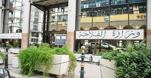 وزارة الفلاحة تصادق على مشروع مرسوم إنشاء ديوان تطوير الزراعات الصناعية في  المناطق الصحراوية