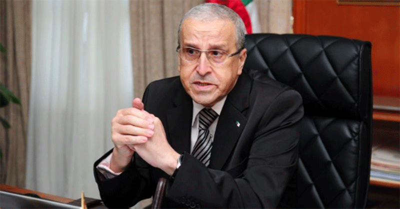 بن زيان: استقبال أول دفعة للرياضيات والذكاء الاصطناعي خلال الدخول الجامعي الجديد