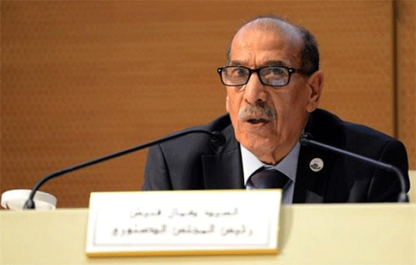 فنيش: المجلس الدستوري سيضطلع بمسؤوليته 