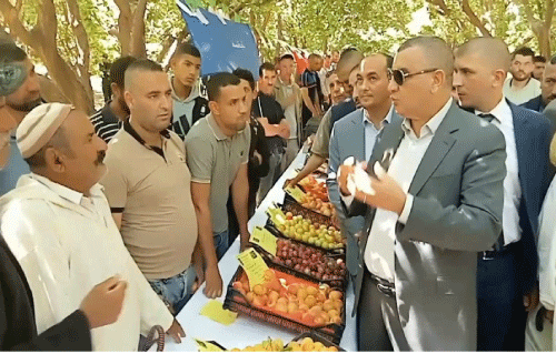 والي المسيلة دعا لتشجيع الصناعات التحويلية: منتجو المشمش يشتكون  من تأخر الربط بالكهرباء
