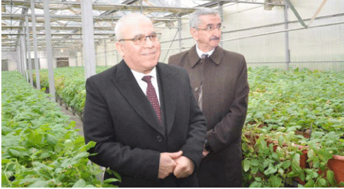 لرفع قدراتها في إنتاج بذور البطاطا بسطيف: تدعيـم شركـة تطويـر المنتجـات الفلاحيـة في قـلال بنقـب مـائي