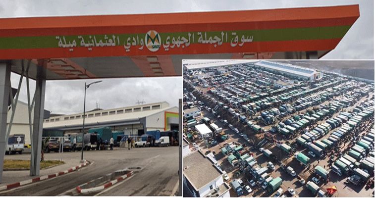 أنجز بمواصفات عصرية وتحول إلى قِبلة لآلاف التجار: سوق الجملة للخضر بوادي العثمانية يساهم في الوفرة واستقرار الأسعار