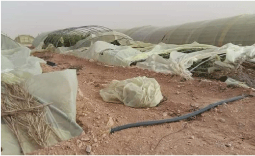 خلية أزمة لمعاينة مخلفات الرياح: تضـرر 8 آلاف بيـت بلاستيــــكي في عـين النـاقة ببسكـرة