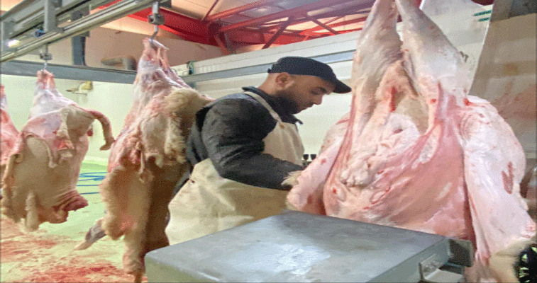 المركب الجهوي للحوم الحمراء بعين مليلة في أم البواقي: الشــروع في ذبـح وتسويـق المواشـي الرومانيــة لسبع ولايـــات