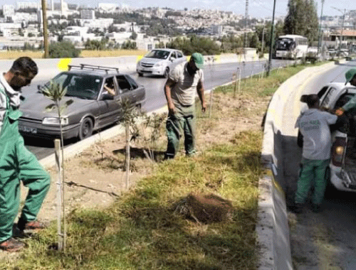 فيما أغلقت البلدية مسلكا تحول إلى مفرغة عشوائية للردوم: صيانة المساحات الخضراء المتضررة بطريق زواغي في قسنطينة