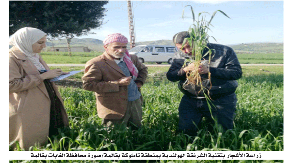 خنشلــة: مخطط جديد لتوسيع وتنويع نشاطات المؤسسات المصغرة