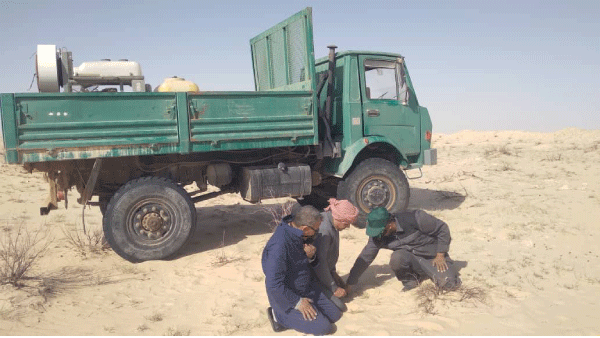 صحراء بلدية دوار الماء الحدودية في الوادي: إجراءات وقائية تحسبا لدخول أسراب الجراد