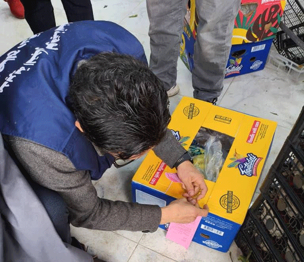 تشمل حجز هذه المادة لدى المخالفين: خرجــــات ميدانيــــة لمصالح التجــــارة والأمن لمراقبــــــة التزويد بالمـــوز بقسنطينـــــة 