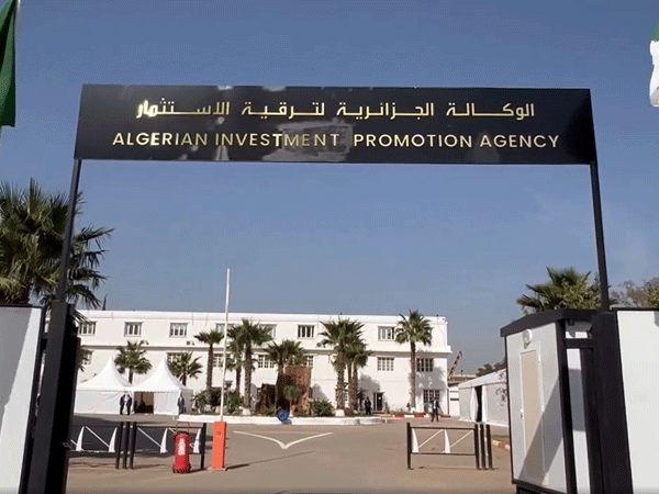 الوكالة الجزائرية لترقية الاستثمار: تسجيل قرابة 13 ألف مشروع استثماري إلى غاية مارس المنصرم