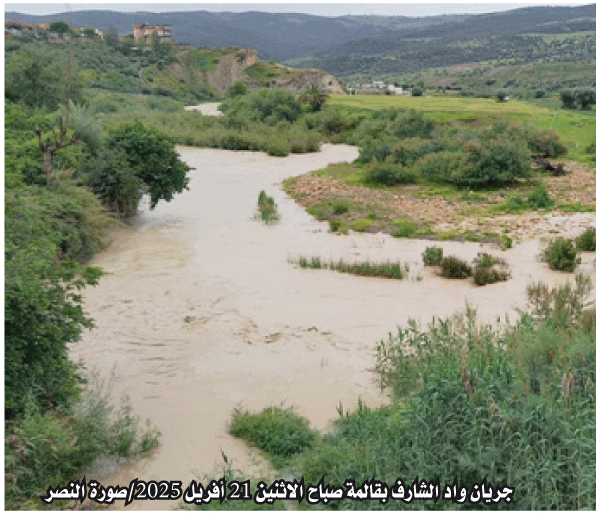 الأودية الكبرى تستعيد نشاطها بعد جفاف طويل: توقّعات بموسم فلاحي جيد بقالمة 