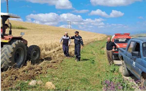 لحماية المحاصيل من الحرائق بميلة: دعـوة الفلاحـين لإنجـاز شرائـط وقائيـة من النيـران