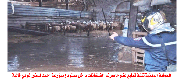 بعين رقادة ووادي الزناتي بقالمة: عاصفة تخلف وفاة شخص وخسائر مادية 