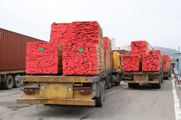 لتخفيف الضغط عن ميناء بجاية: تحويل شحنات الخشب المكدسة إلى ميناء الفسحة بالبرج