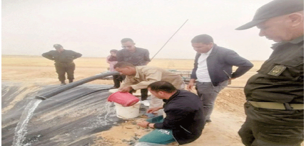 المدير الجهوي للصيد البحري وتربية المائيات بقالمة للنصر: نحو استزراع 298 ألفا و 100 وحدة من صغار البلطي بـ 4 ولايات