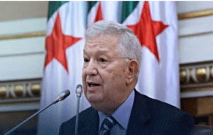 رئيسه عزوز ناصري بمناسبة اليوم العالمي لإفريقيا: مجلس الأمة سيواصل عمله لتجسيد تطلعات الأفارقة 