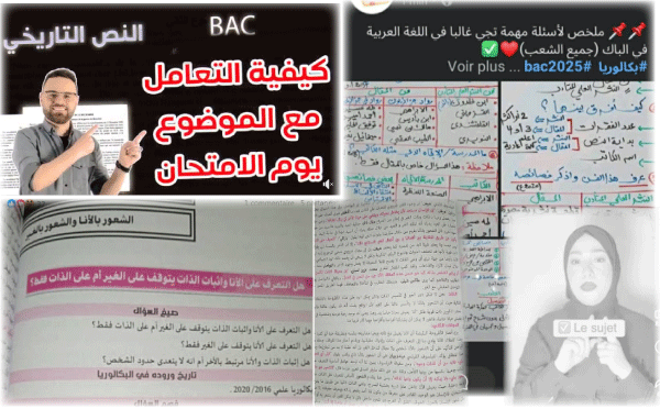 أساتذة يجيبون و يقترحون البدائل: ملخصات ومقترحات البكالوريا..هل تساعد أم تشوش ذهن التلميذ؟
