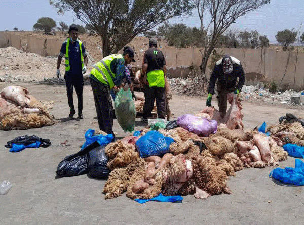 في ظل توقعات بارتفاع نسبة القطع القابلة للاسترجاع إلى 40 بالمائة: تسجيـل انخـراط واسـع للمواطنـين في حملـة جمـع جلـود الأضـاحي