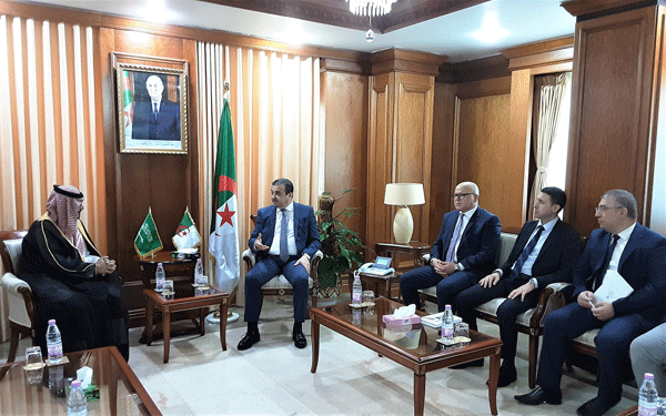 تعزيز الشراكة في مجال الطاقات الجديدة والمتجددة بين الجزائر و هولاندا : عرقاب يؤكد استعداد القطاع لمرافقة الشركاء السعوديين