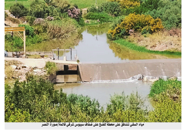 قالمة: إطــــلاق ســـــــد بوحمــــــدان لسقـــــي الطماطــــــــم ودوار الشمـــــــــــس 
