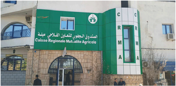 تضرروا من تساقطات البرد والحرائق: الشـروع في تعويـض 74 فلاحـا بميلـة