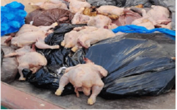 مديرية التجارة حجزت أزيد من 300 كلغ منها: تُجّار يعرضون لحوما وفواكه للبيع تحت أشعة الشمس