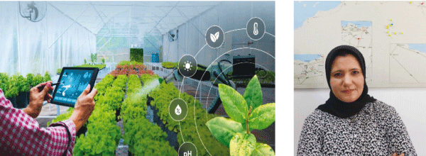 الباحثة في مركز تنمية الطاقات المتجددة سعيدة مخلوفي: الزراعة 5.0 خيار استراتيجي لضمان الأمن الغذائي والاستدامة