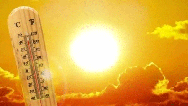 في ظل موجة الحر التي تعرفها عدة ولايات عبر الوطن: وزارة الصحة والحماية المدنية تحذّران 