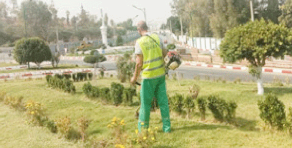 تطوع شباني للتشجير وجهود مؤسساتية لتحسين المحيط: هبة مدنية بقسنطينة عنوانها «المدينة الخضراء»