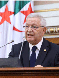 جدد دعم السينا لبرنامج رئيس الجمهورية: ناصري يشيد بحنكة الرئيس تبون في إنجاح معرض التجارة الإفريقية