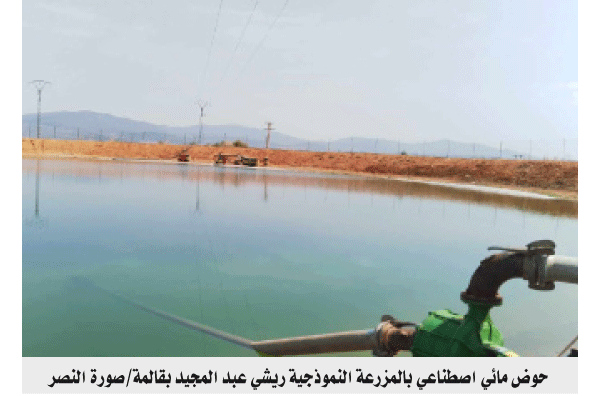 تساهم في مكافحة الجفاف وتنمية الزراعة والثـروة السمكية: انتـشار الأحواض المائــية الاصطناعية بقالمة